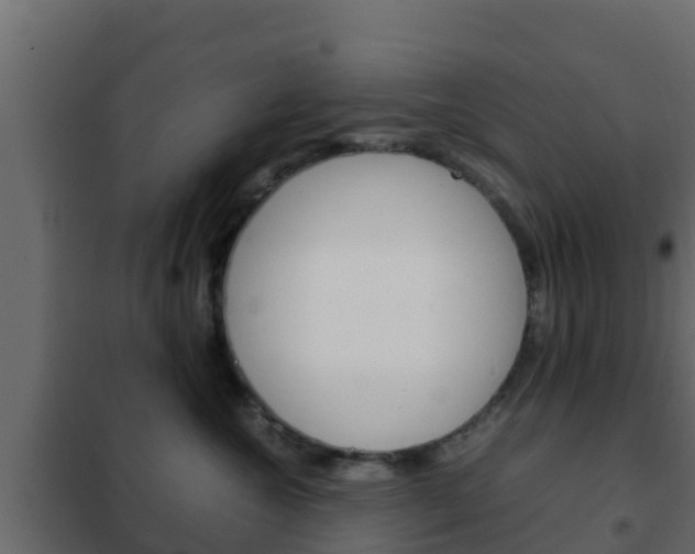 X0000102470572200808081012