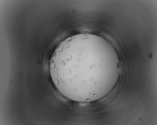 X0000102470573200808081012