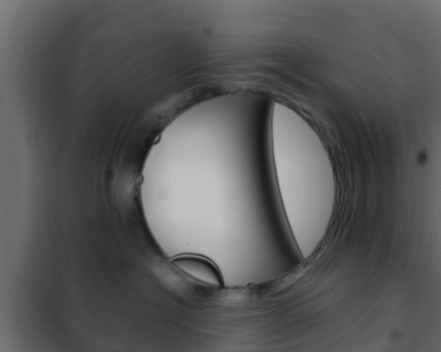 X0000102470574200808081012