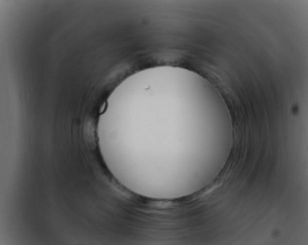 X0000102470575200808081012