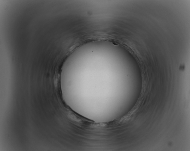 X0000102470576200808081012
