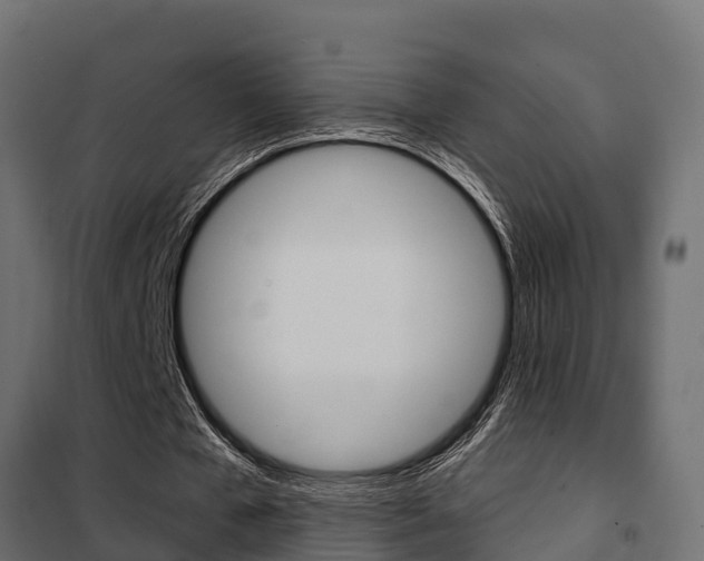 X0000102470577200808081011
