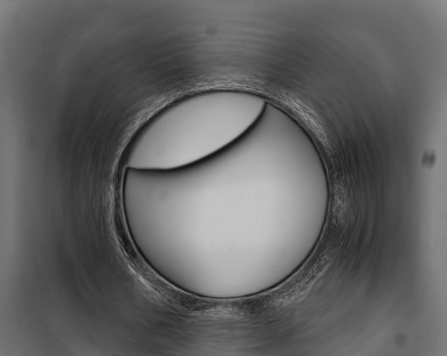 X0000102470578200808081011