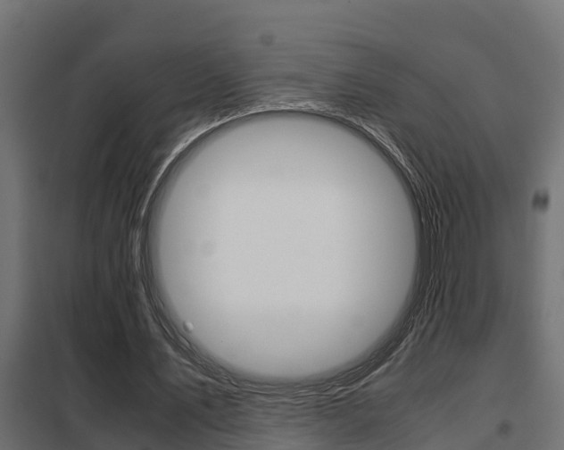 X0000102470579200808081011