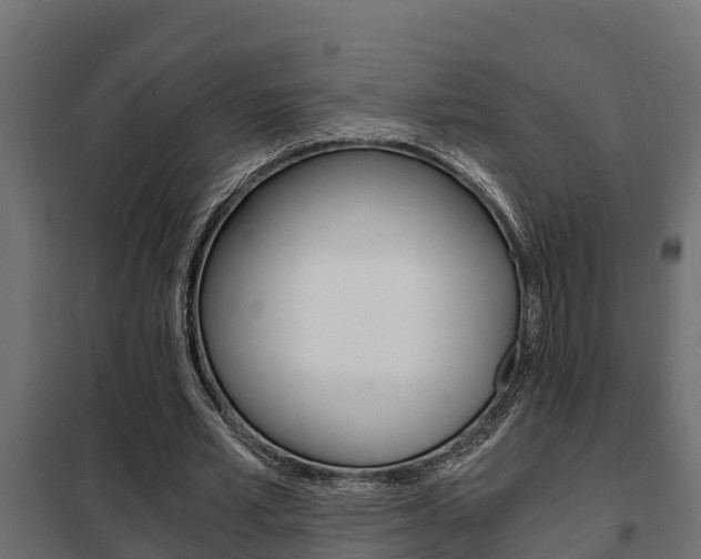 X0000102470581200808081011