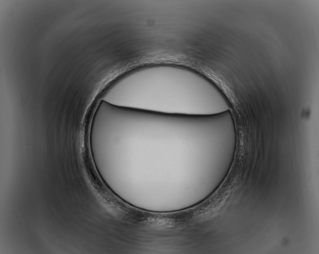 X0000102470582200808081011