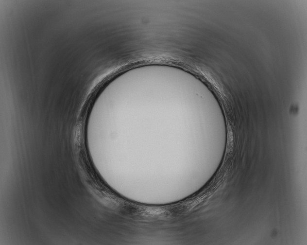 X0000102470583200808081011