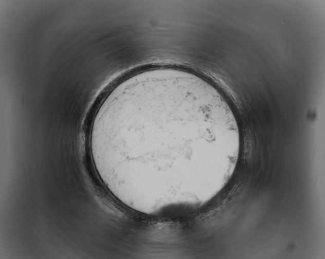 X0000102470584200808081011