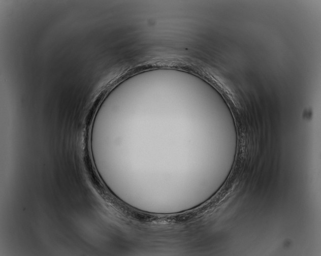 X0000102470586200808081011