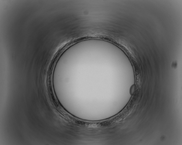 X0000102470587200808081011