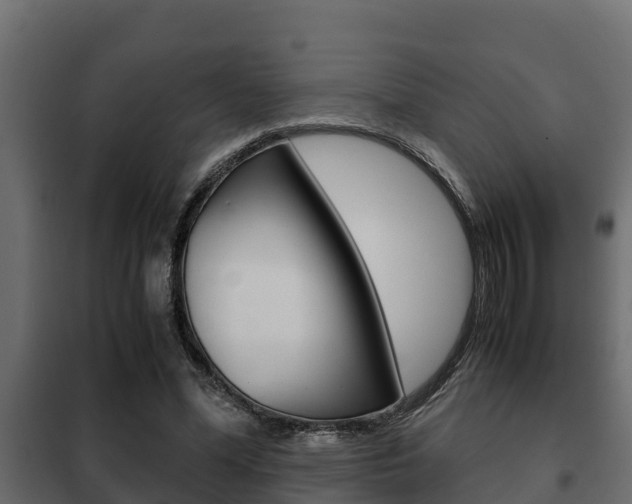 X0000102470588200808081011