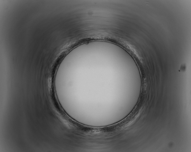 X0000102470589200808081011