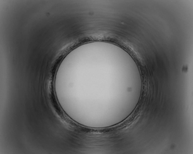 X0000102470590200808081011
