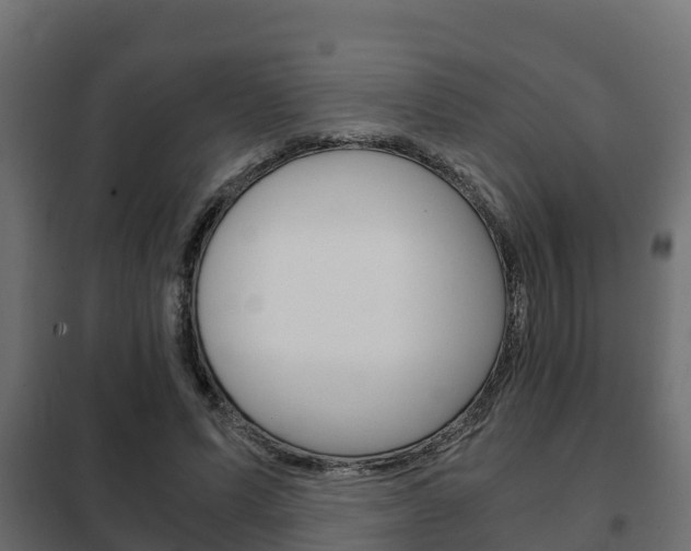 X0000102470591200808081011