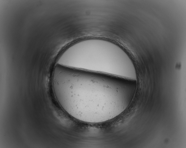 X0000102470592200808081011