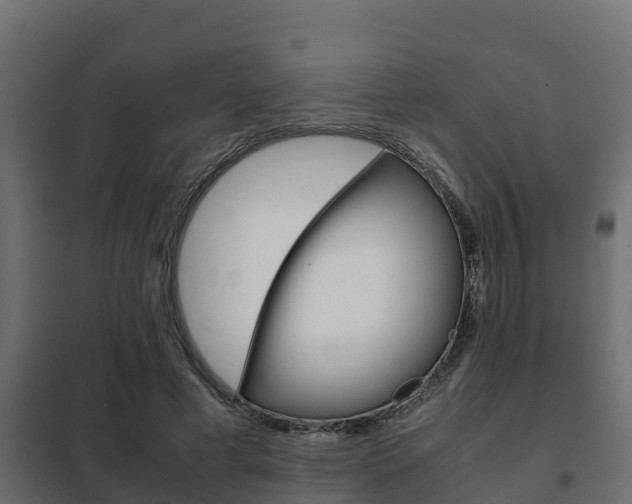 X0000102470593200808081011