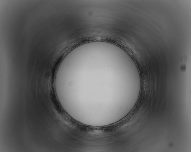 X0000102470594200808081011