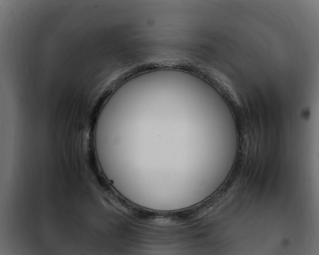 X0000102470596200808081011