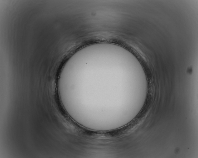 X0000102470597200808081011