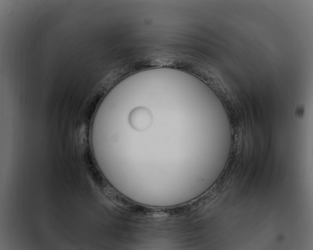 X0000102470598200808081011