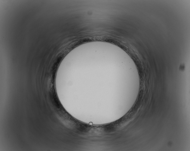 X0000102470599200808081011
