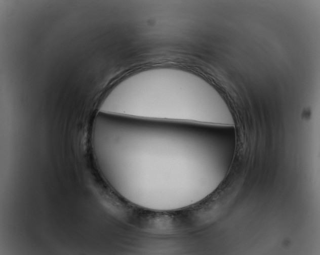 X0000102470600200808081011
