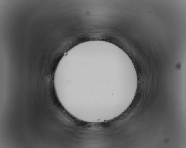 X0000102470601200808081011