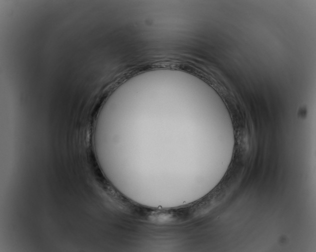 X0000102470602200808081011