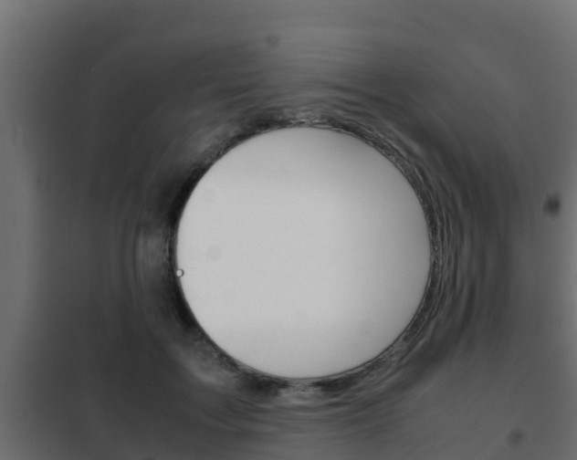 X0000102470603200808081011