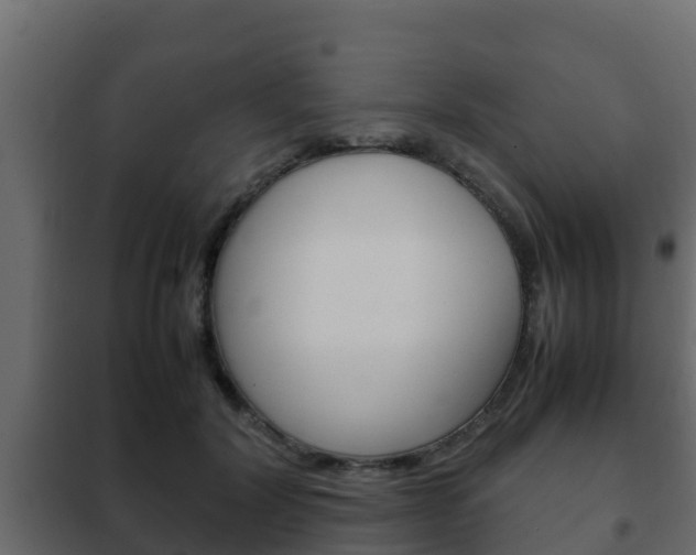 X0000102470604200808081011