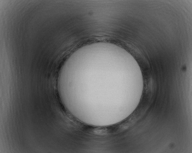 X0000102470606200808081011