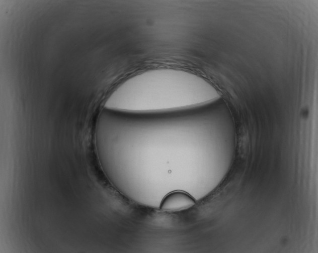 X0000102470608200808081011