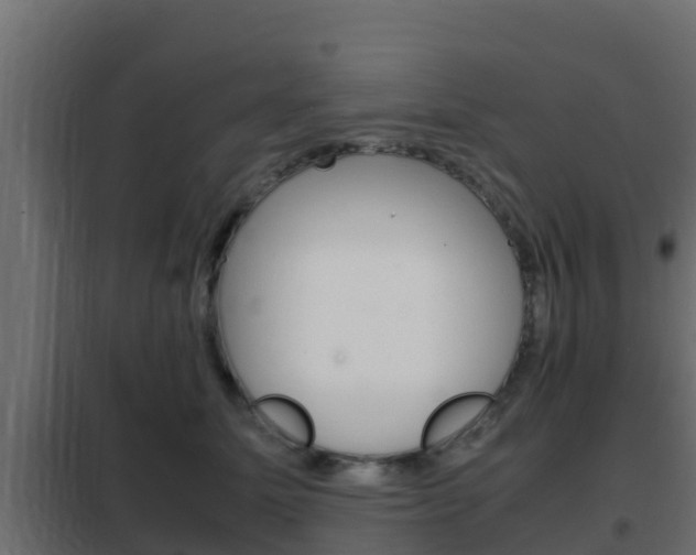 X0000102470611200808081011