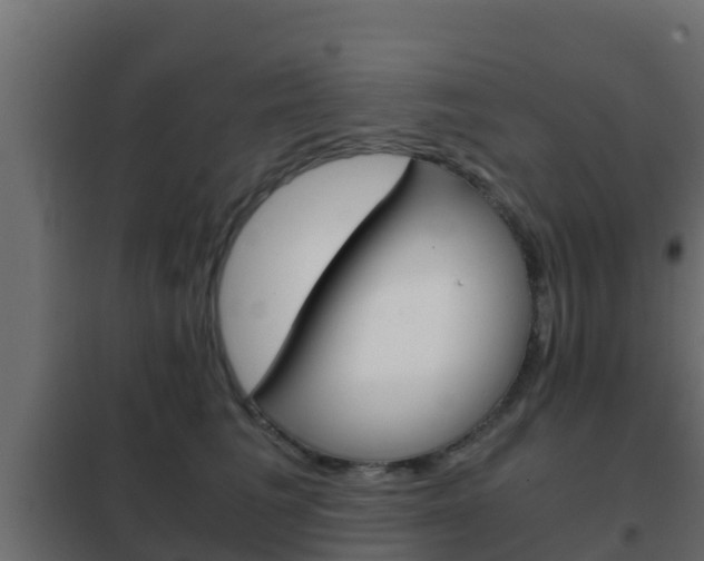 X0000102470613200808081011