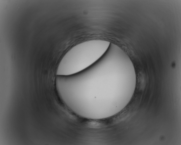 X0000102470614200808081011