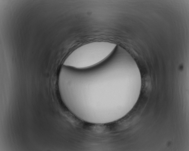 X0000102470615200808081011