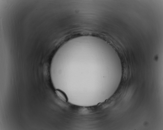 X0000102470616200808081011