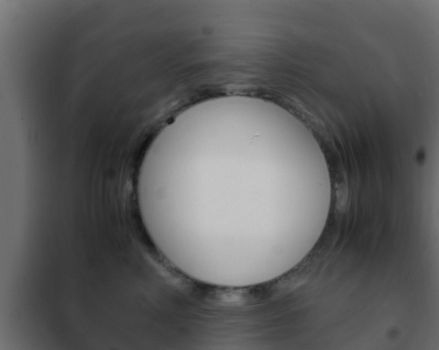 X0000102470618200808081011