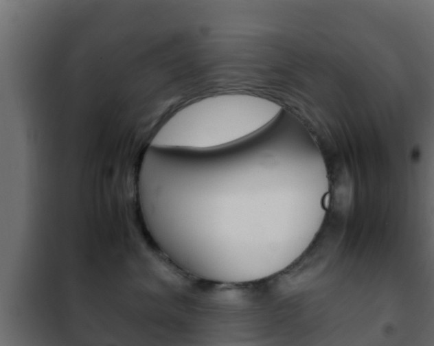 X0000102470620200808081011