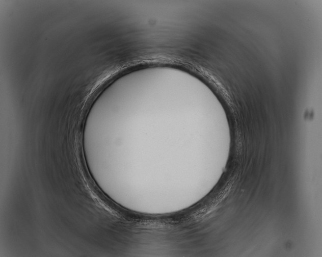 X0000102470625200808081010