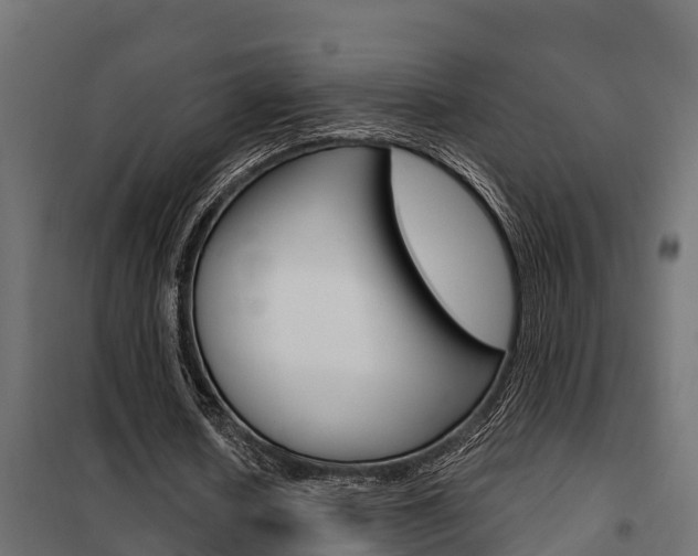 X0000102470626200808081010