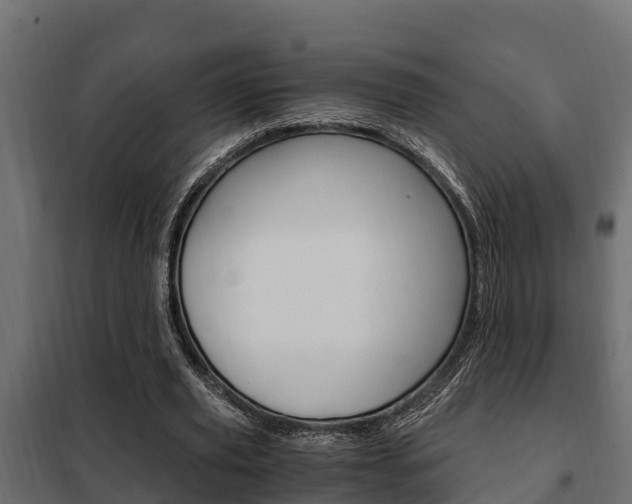 X0000102470629200808081010