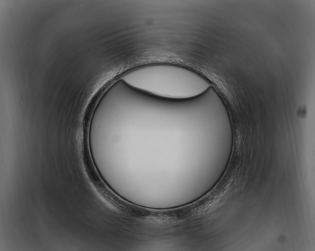 X0000102470630200808081010