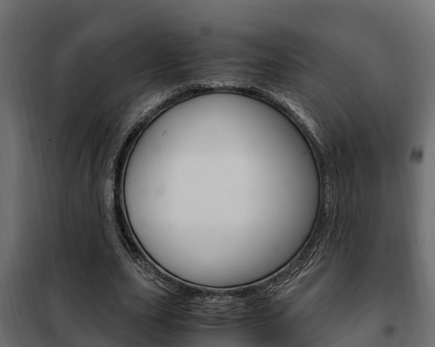 X0000102470631200808081010