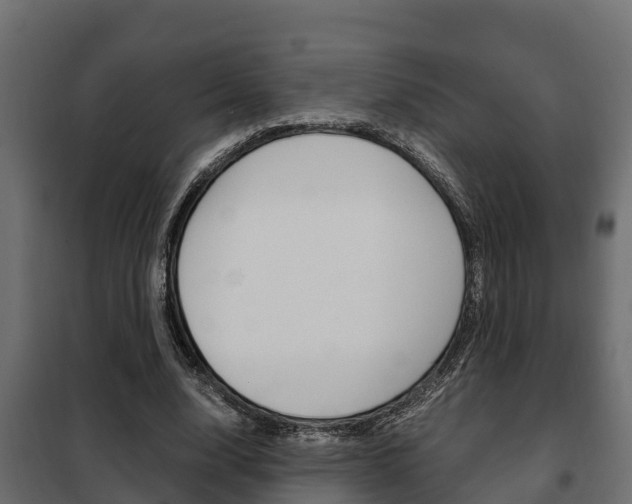 X0000102470632200808081010