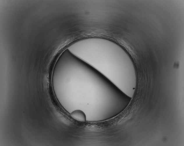 X0000102470634200808081010