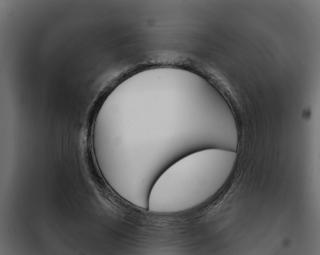 X0000102470636200808081010