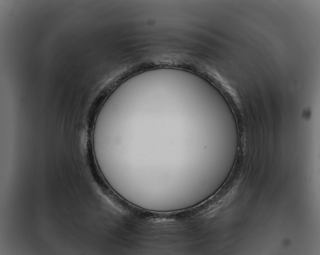 X0000102470637200808081010