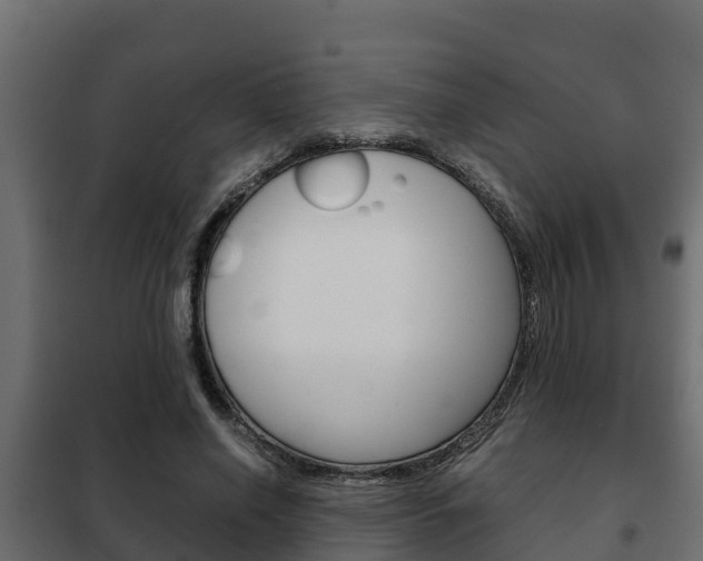 X0000102470638200808081010