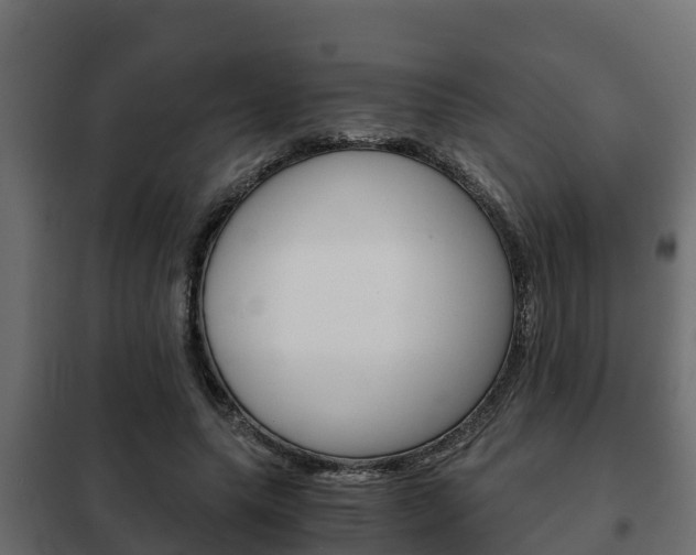 X0000102470639200808081010